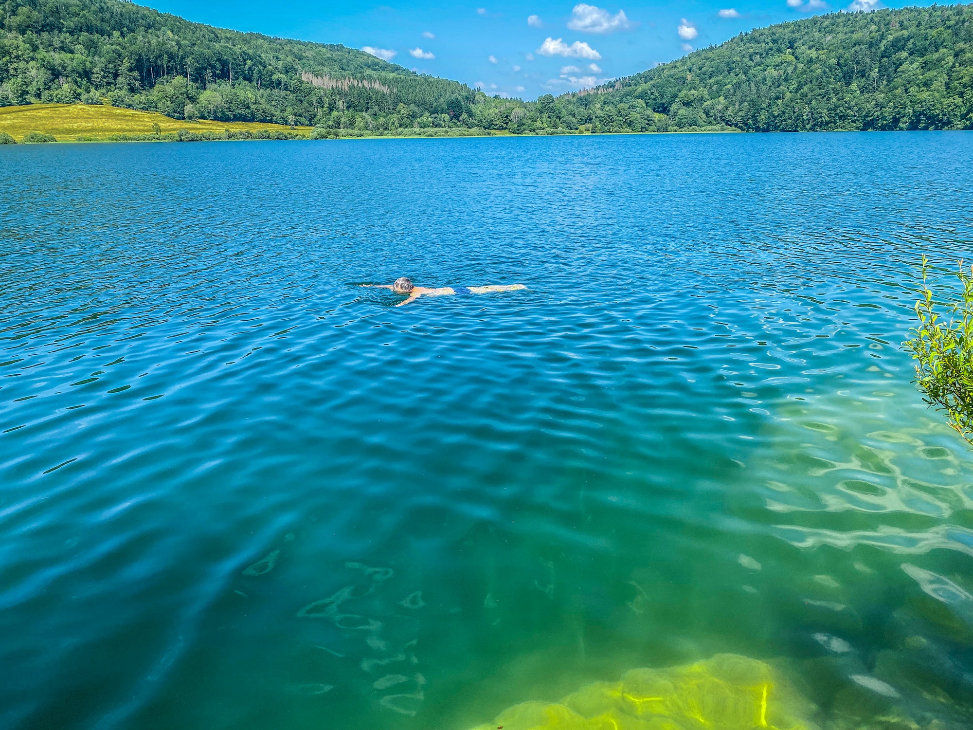One unrecognizable person swim in the Narlay lake, Le Frasnois, Bourgogne-Franche-Comté, Jura